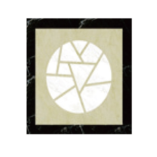 FN-S006